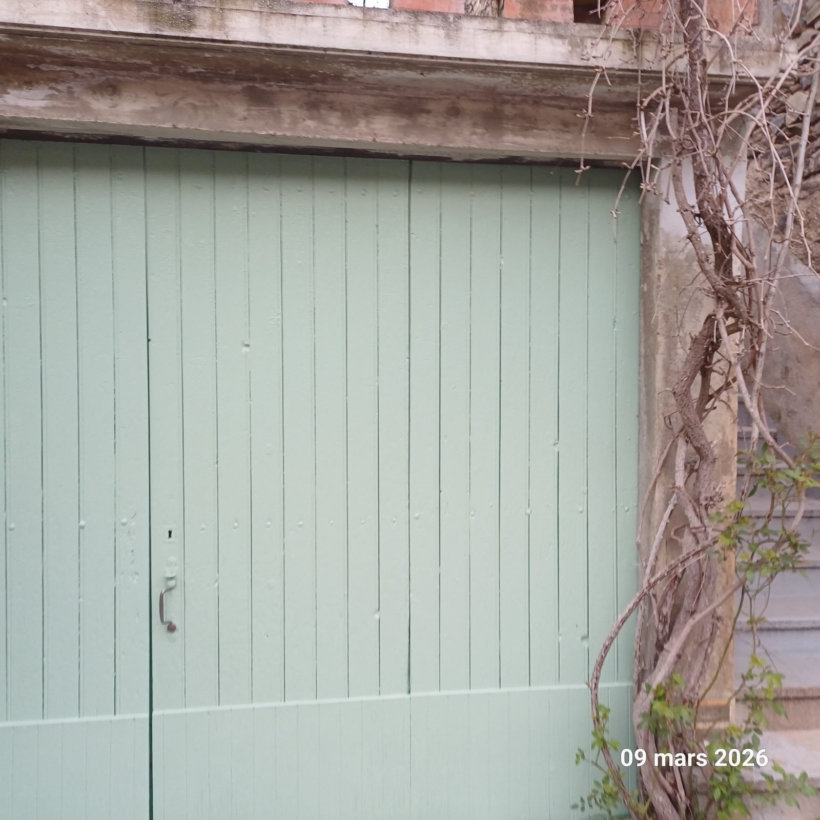 Porte de garage en bois repeinte en vert sauge